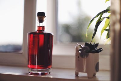 Close-up of drink and potted plant on window sill