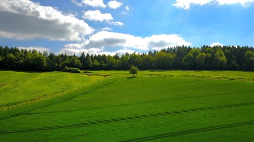 Scenic view of green landscape against sky