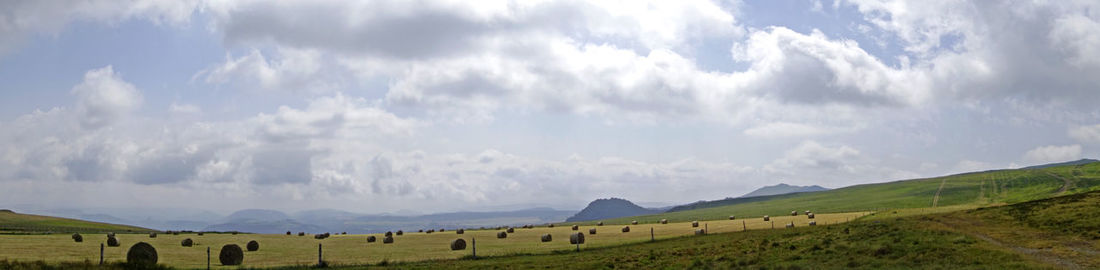 Panoramic shot of green field