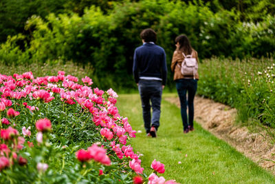 Rear view of people on street amidst flowering plants