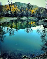 Reflection of trees in lake