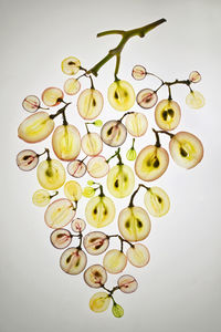 High angle view of grapes over white background