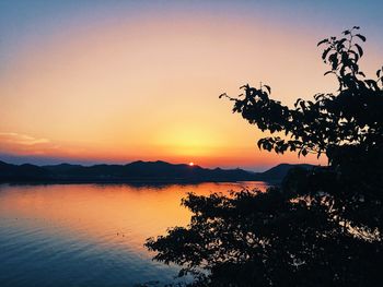 Silhouette tree by lake against sky during sunset