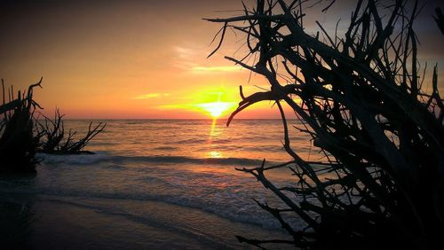 Scenic view of sea at sunset