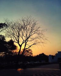 Silhouette of bare trees against sky at sunset