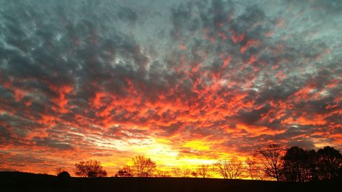 Silhouette trees against dramatic sky during sunset