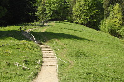 Path with stairs in pieniny, poland.