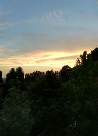 Silhouette trees against sky during sunset