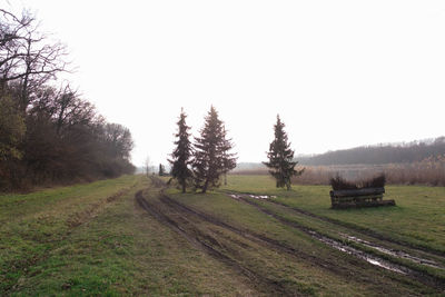 Scenic view of agricultural field against clear sky