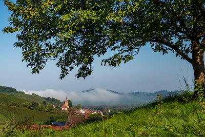 Trees on field against little old town and sky