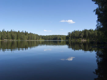 Reflection of trees in calm lake