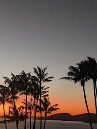 Silhouette palm trees against sky