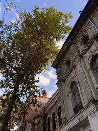 Low angle view of trees and building against sky