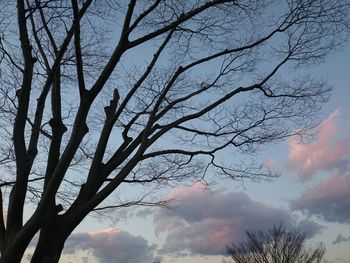 Low angle view of silhouette bare tree against sky