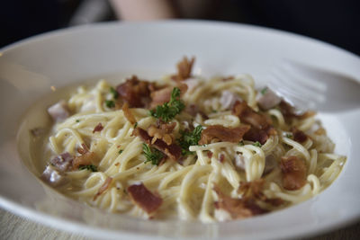 Close-up of food in plate