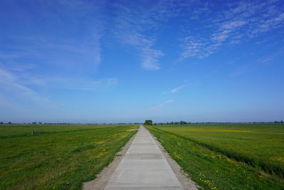 Empty road amidst field against blue sky