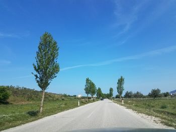 Road amidst trees against sky