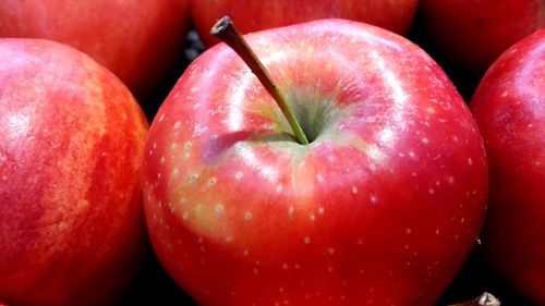 Full frame shot of apples