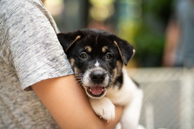 Portrait of woman with puppy