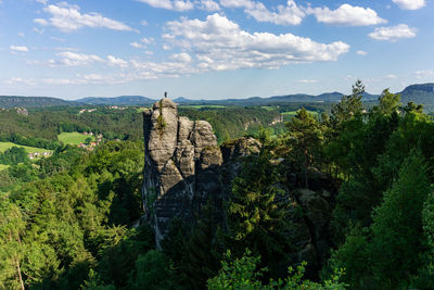 Panoramic view of trees on landscape against sky