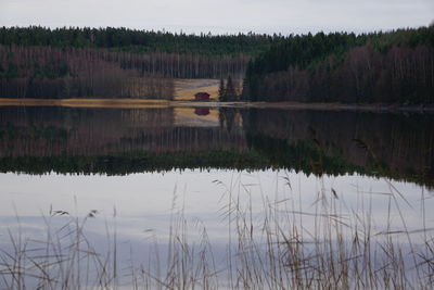 Reflection of trees in lake against sky