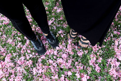 Low section of people standing on flower