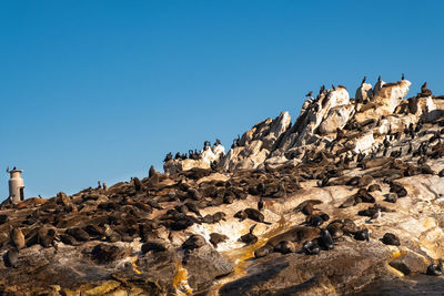 Low angle view of rocks against blue sky