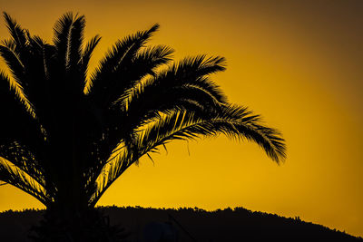 Low angle view of silhouette palm trees against sky