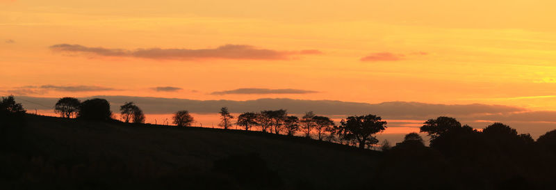 Silhouette trees on landscape against orange sky