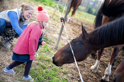 Family looking at horses in ranch