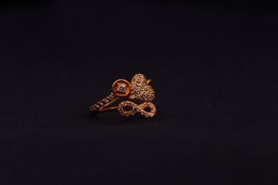 Close-up of an animal representation on black background