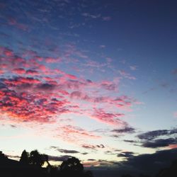 Low angle view of silhouette trees against sky during sunset