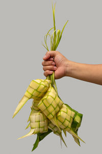 A hand holding ketupat with grey background