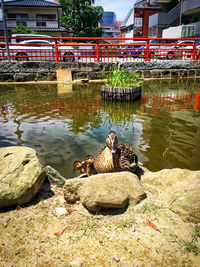 Built structure in water