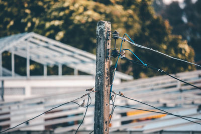 Close-up of barbed wire on fence
