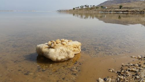 Mineral at beach on sunny day