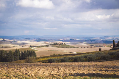 Scenic view of agricultural field against sky