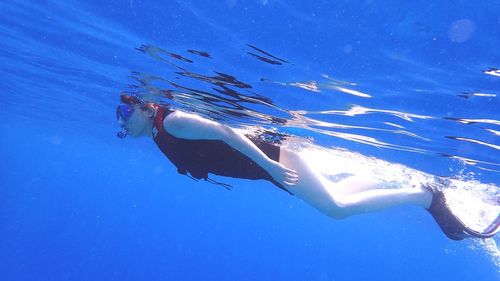 Fish swimming in sea