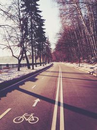 Road passing through bare trees