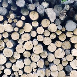 Full frame shot of logs