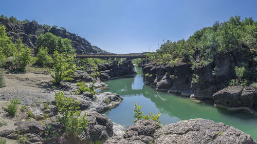 Plants growing on rocks by river against sky