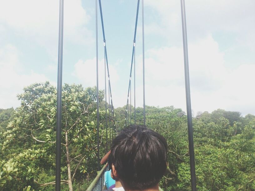 MacRitchie Reservoir Park