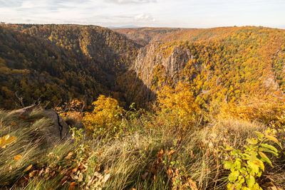 Scenic view of landscape against sky during autumn