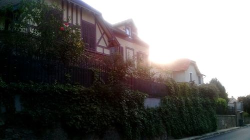 Building with trees in background