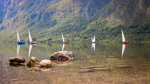 Scenic view of lake