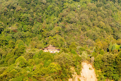 High angle view of building amidst trees