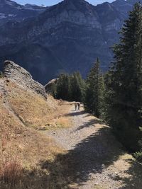 Road amidst trees and mountains