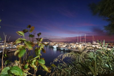 Sailboats in marina at night
