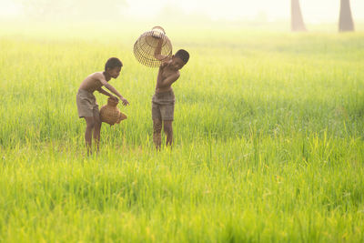 Shirtless male friends holding containers on rice paddy