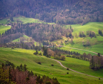 High angle view of grassy field